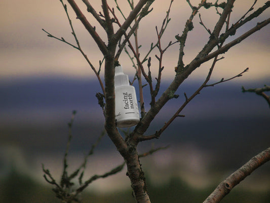 Facing North höst anjan 9