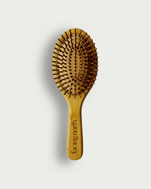 Facing North-HairBrush i bambu